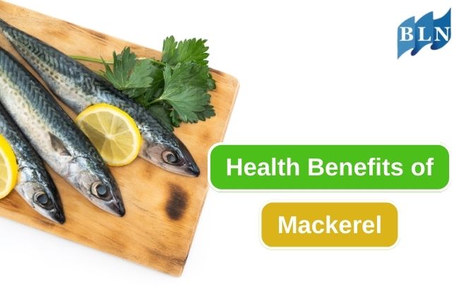 9 Reasons Why Eating Mackerel Is Good for Your Health